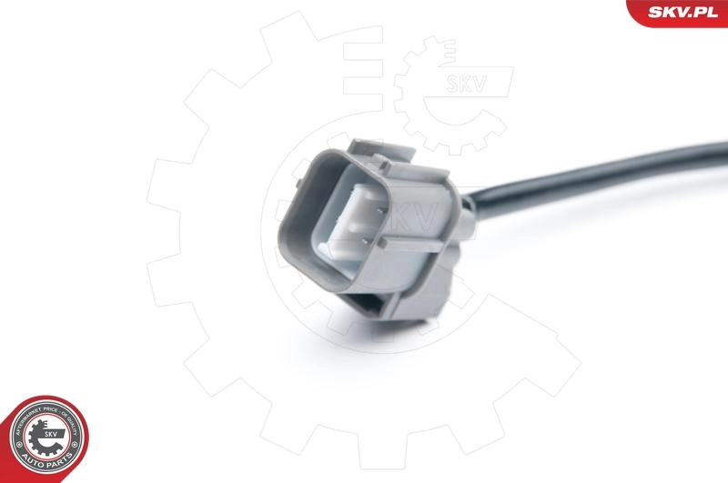 Oxygen Sensor